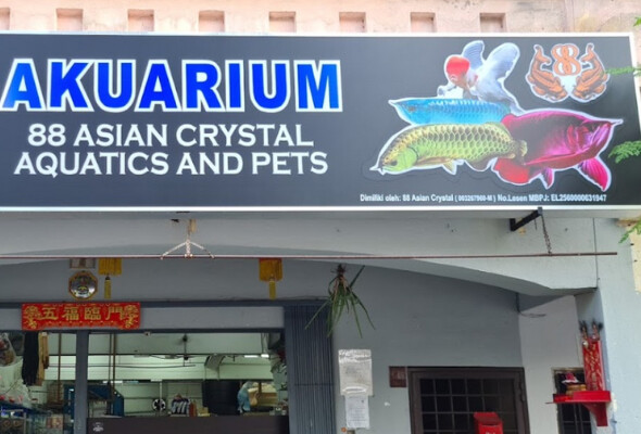 88 Asian Crystal Aquatic & Pet